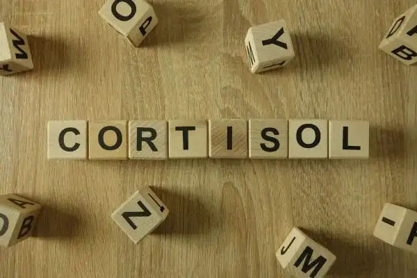 The Hidden Connection: How Stress Shapes Your Fitness and Body Composition 2 Image saying "Cortisol" and how stress Nottingham impacts your wellbeing and bodies shape
